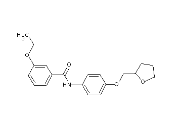 3-ethoxy-N-[4-(tetrahydro-2-furanylmethoxy)phenyl]benzamide