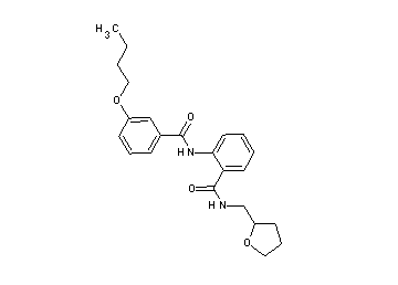 2-[(3-butoxybenzoyl)amino]-N-(tetrahydro-2-furanylmethyl)benzamide