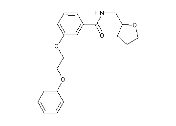3-(2-phenoxyethoxy)-N-(tetrahydro-2-furanylmethyl)benzamide