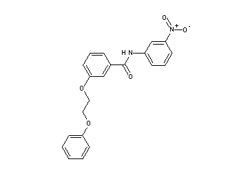N-(3-nitrophenyl)-3-(2-phenoxyethoxy)benzamide