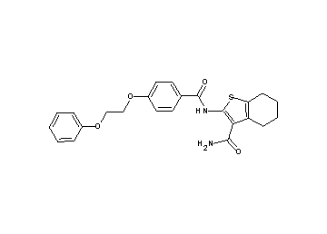 2-{[4-(2-phenoxyethoxy)benzoyl]amino}-4,5,6,7-tetrahydro-1-benzothiophene-3-carboxamide