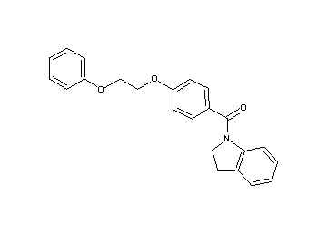 1-[4-(2-phenoxyethoxy)benzoyl]indoline