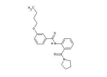 3-butoxy-N-[2-(1-pyrrolidinylcarbonyl)phenyl]benzamide