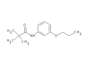 2,2-dimethyl-N-(3-propoxyphenyl)propanamide