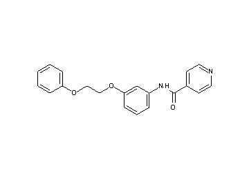 N-[3-(2-phenoxyethoxy)phenyl]isonicotinamide