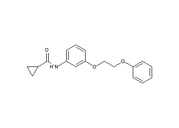N-[3-(2-phenoxyethoxy)phenyl]cyclopropanecarboxamide