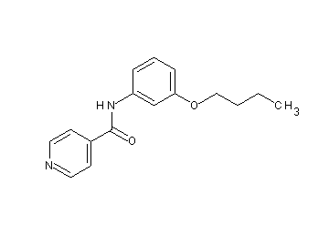 N-(3-butoxyphenyl)isonicotinamide