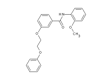 N-(2-methoxyphenyl)-3-(2-phenoxyethoxy)benzamide