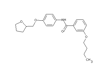 3-butoxy-N-[4-(tetrahydro-2-furanylmethoxy)phenyl]benzamide