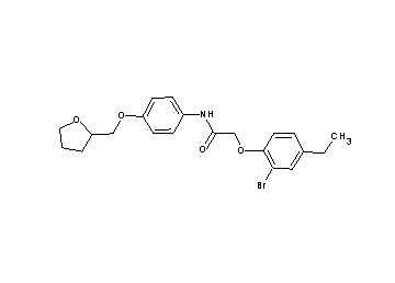 2-(2-bromo-4-ethylphenoxy)-N-[4-(tetrahydro-2-furanylmethoxy)phenyl]acetamide