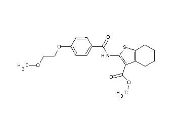 methyl 2-{[4-(2-methoxyethoxy)benzoyl]amino}-4,5,6,7-tetrahydro-1-benzothiophene-3-carboxylate