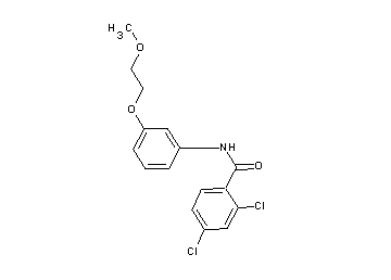 2,4-dichloro-N-[3-(2-methoxyethoxy)phenyl]benzamide