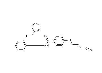 4-butoxy-N-[2-(tetrahydro-2-furanylmethoxy)phenyl]benzamide