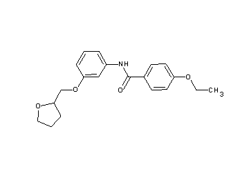 4-ethoxy-N-[3-(tetrahydro-2-furanylmethoxy)phenyl]benzamide
