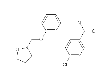 4-chloro-N-[3-(tetrahydro-2-furanylmethoxy)phenyl]benzamide