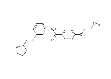 4-propoxy-N-[3-(tetrahydro-2-furanylmethoxy)phenyl]benzamide