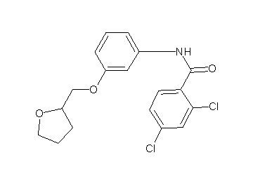 2,4-dichloro-N-[3-(tetrahydro-2-furanylmethoxy)phenyl]benzamide - Click Image to Close