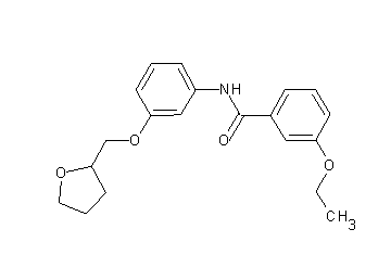 3-ethoxy-N-[3-(tetrahydro-2-furanylmethoxy)phenyl]benzamide