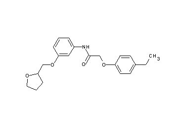 2-(4-ethylphenoxy)-N-[3-(tetrahydro-2-furanylmethoxy)phenyl]acetamide