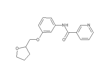 N-[3-(tetrahydro-2-furanylmethoxy)phenyl]nicotinamide