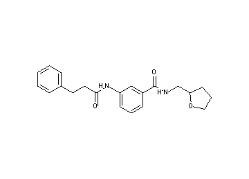 3-[(3-phenylpropanoyl)amino]-N-(tetrahydro-2-furanylmethyl)benzamide