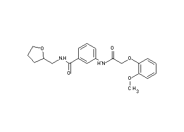 3-{[(2-methoxyphenoxy)acetyl]amino}-N-(tetrahydro-2-furanylmethyl)benzamide