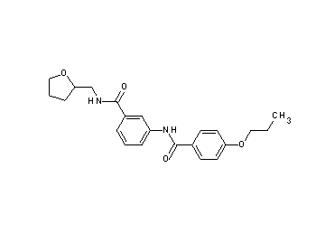 3-[(4-propoxybenzoyl)amino]-N-(tetrahydro-2-furanylmethyl)benzamide - Click Image to Close