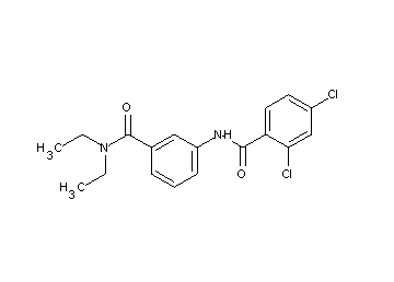 2,4-dichloro-N-{3-[(diethylamino)carbonyl]phenyl}benzamide