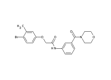 2-(4-bromo-3-methylphenoxy)-N-[3-(4-morpholinylcarbonyl)phenyl]acetamide
