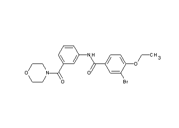 3-bromo-4-ethoxy-N-[3-(4-morpholinylcarbonyl)phenyl]benzamide