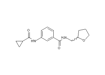 3-[(cyclopropylcarbonyl)amino]-N-(tetrahydro-2-furanylmethyl)benzamide