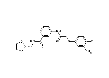 3-{[(4-chloro-3-methylphenoxy)acetyl]amino}-N-(tetrahydro-2-furanylmethyl)benzamide