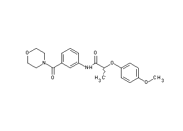 2-(4-methoxyphenoxy)-N-[3-(4-morpholinylcarbonyl)phenyl]propanamide