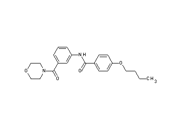 4-butoxy-N-[3-(4-morpholinylcarbonyl)phenyl]benzamide