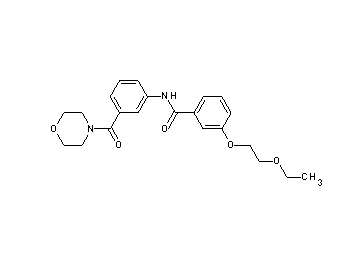 3-(2-ethoxyethoxy)-N-[3-(4-morpholinylcarbonyl)phenyl]benzamide