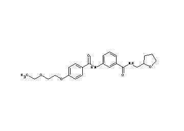 3-{[4-(2-ethoxyethoxy)benzoyl]amino}-N-(tetrahydro-2-furanylmethyl)benzamide