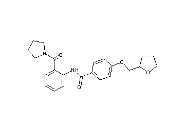 N-[2-(1-pyrrolidinylcarbonyl)phenyl]-4-(tetrahydro-2-furanylmethoxy)benzamide