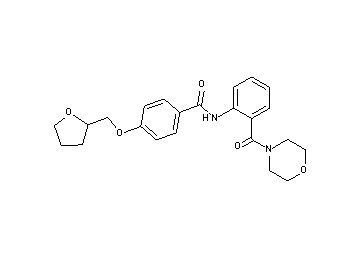 N-[2-(4-morpholinylcarbonyl)phenyl]-4-(tetrahydro-2-furanylmethoxy)benzamide