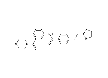 N-[3-(4-morpholinylcarbonyl)phenyl]-4-(tetrahydro-2-furanylmethoxy)benzamide