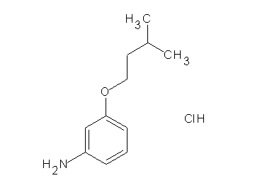 [3-(3-methylbutoxy)phenyl]amine hydrochloride