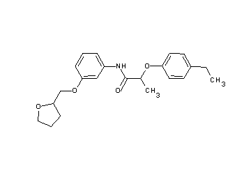 2-(4-ethylphenoxy)-N-[3-(tetrahydro-2-furanylmethoxy)phenyl]propanamide