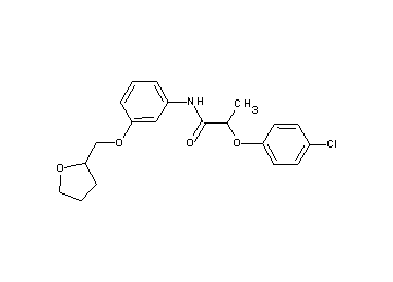 2-(4-chlorophenoxy)-N-[3-(tetrahydro-2-furanylmethoxy)phenyl]propanamide