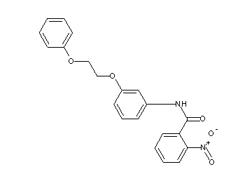 2-nitro-N-[3-(2-phenoxyethoxy)phenyl]benzamide