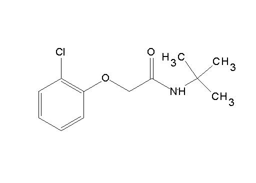 N-(tert-butyl)-2-(2-chlorophenoxy)acetamide