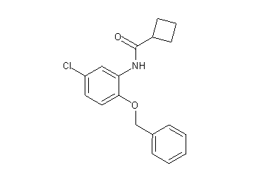 N-[2-(benzyloxy)-5-chlorophenyl]cyclobutanecarboxamide