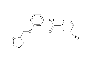3-methyl-N-[3-(tetrahydro-2-furanylmethoxy)phenyl]benzamide