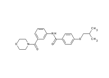 4-isobutoxy-N-[3-(4-morpholinylcarbonyl)phenyl]benzamide